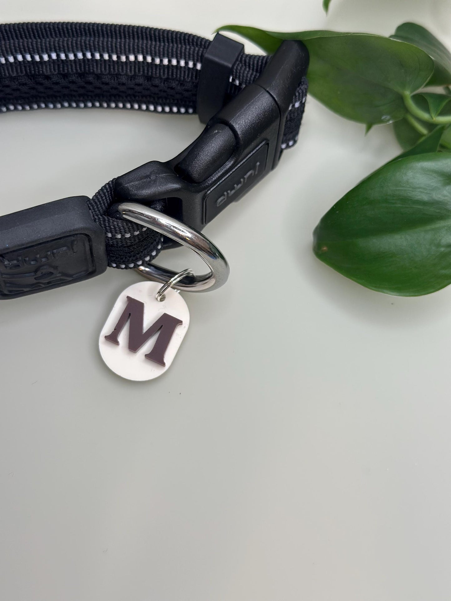 Personalized 3D stadium Shaped Acrylic Pet Tag - Customized Engraving on Back Acrylic various colour options